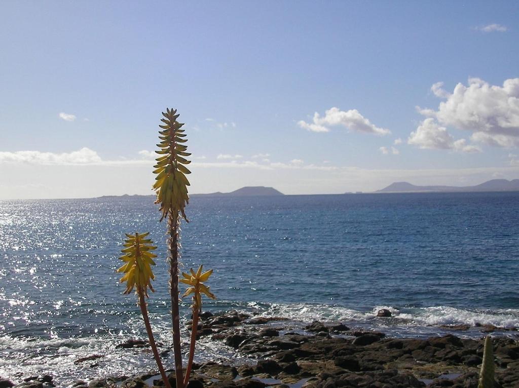 Casa Aguamarina 23B Villa Playa Blanca  Exteriör bild